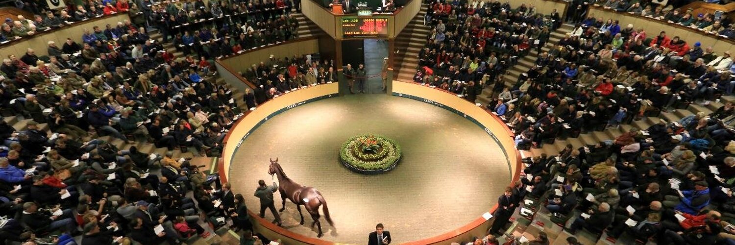 ThoroughWorks 2024 Goffs Arkle Sale